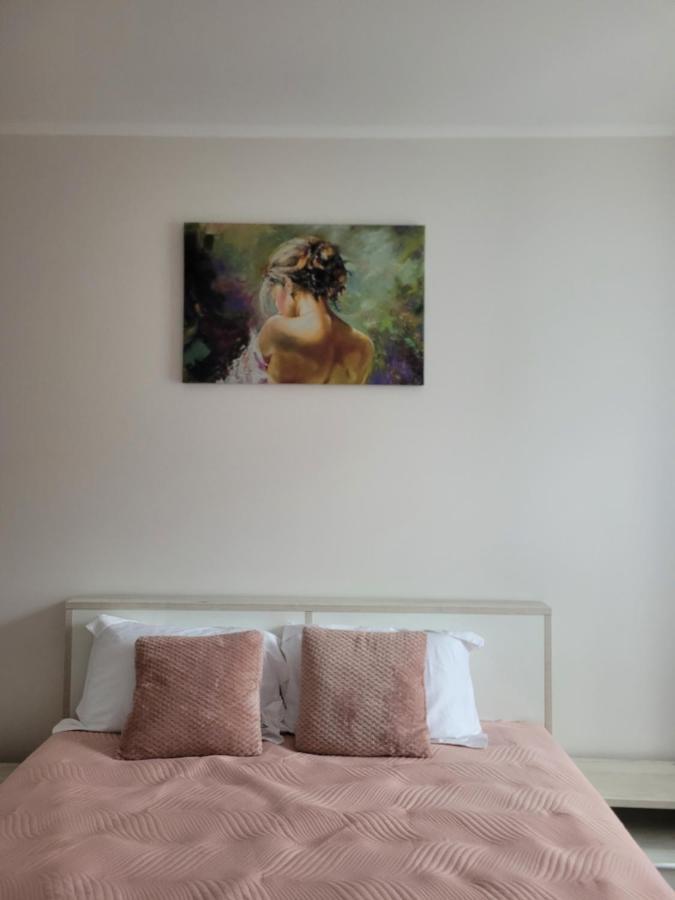Amparo Apartment Satu Mare Luaran gambar